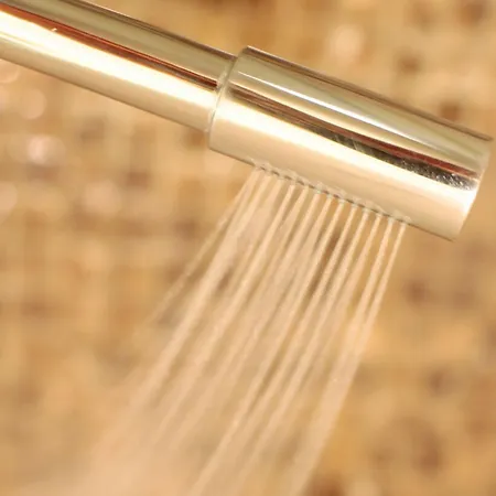 Hotel Ringhotel Faehrhaus 4*