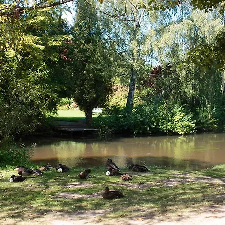 Hotel Ringhotel Faehrhaus 4*