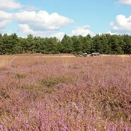 Hotel Ringhotel Faehrhaus