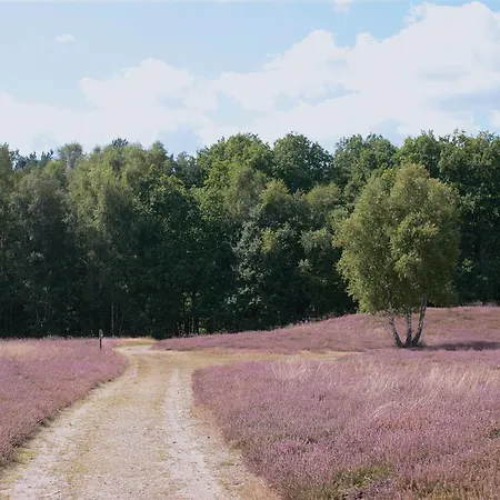 Ringhotel Faehrhaus Bad Bevensen