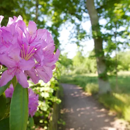 Hotel Ringhotel Faehrhaus 4*