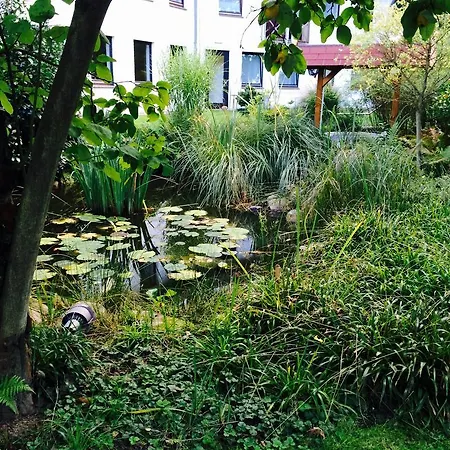Hotel Ringhotel Faehrhaus 4*